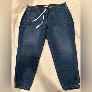 Lane Bryant Blue Denim Jogger Pants